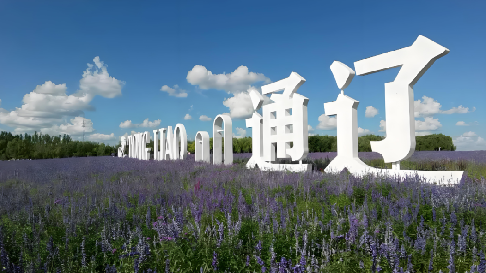 香巷六宝资料大全