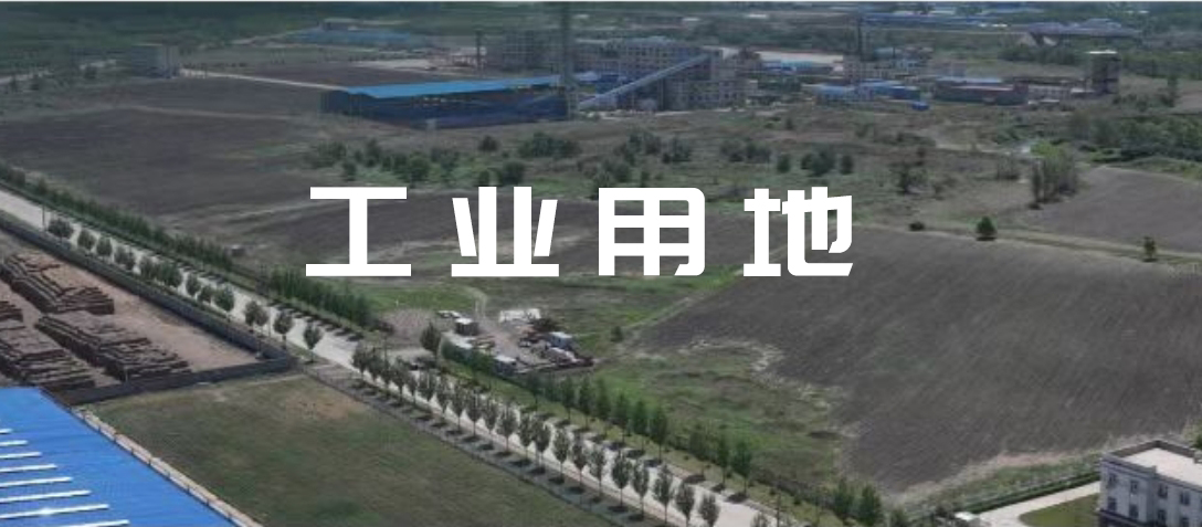 香巷六宝资料大全