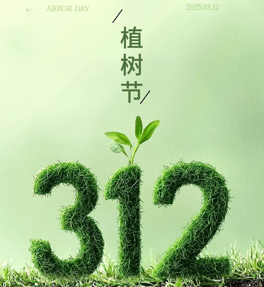 香巷六宝资料大全