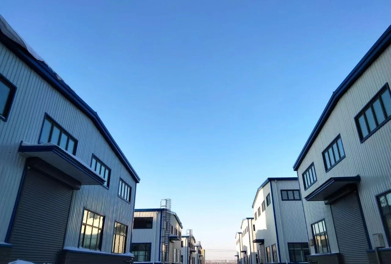 2507036.jpg