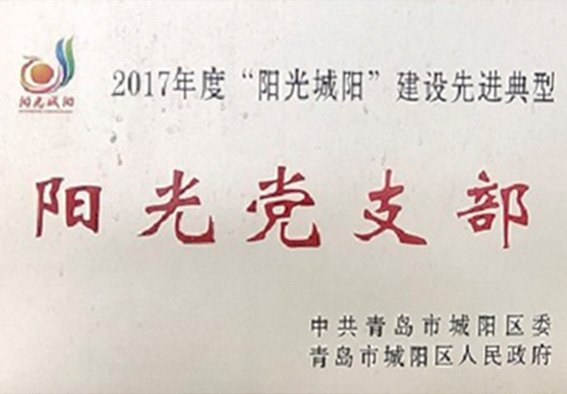 阳光党支部