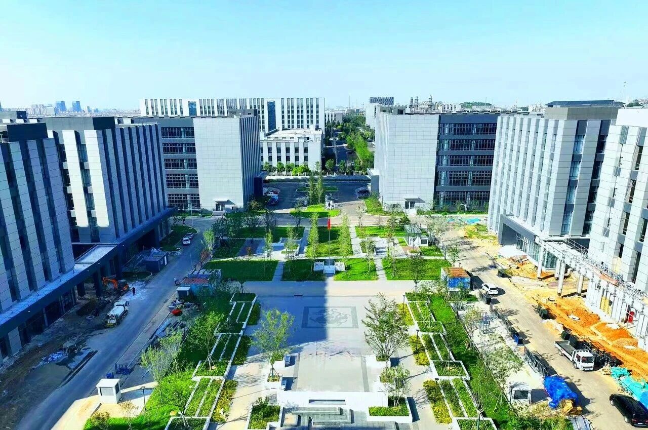 2606112.jpg