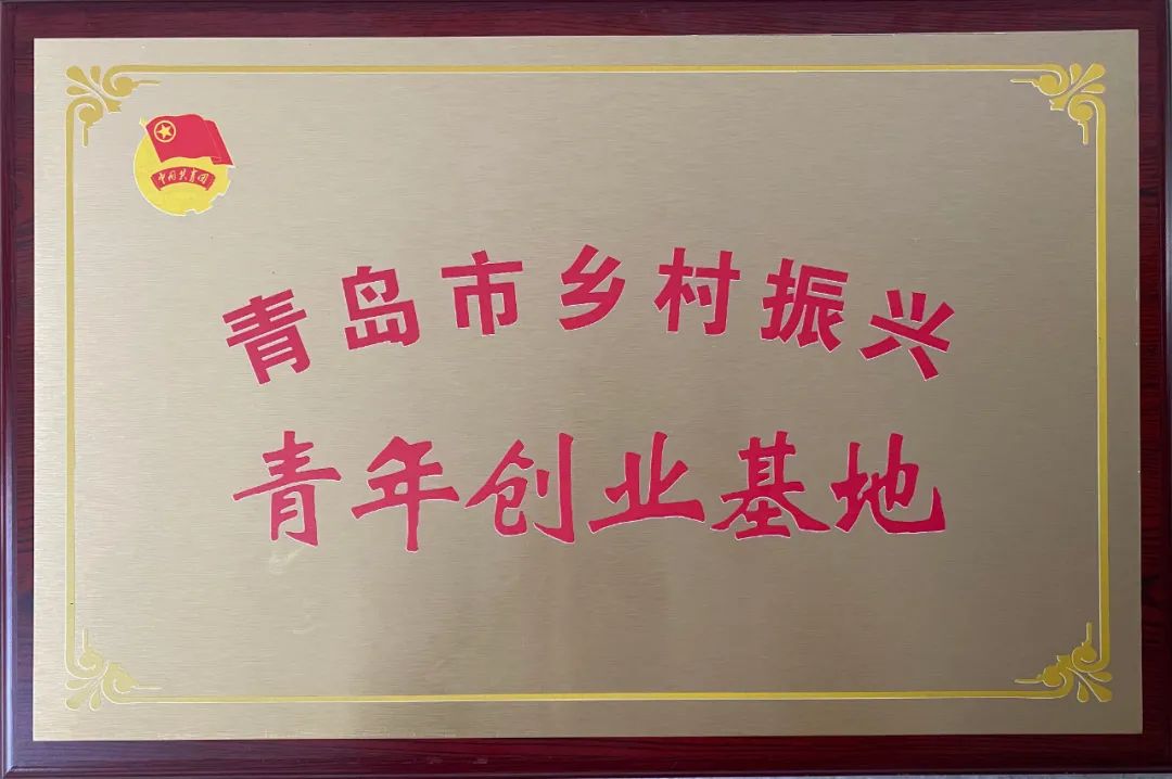 香巷六宝资料大全
