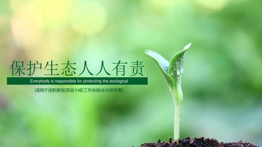 香巷六宝资料大全