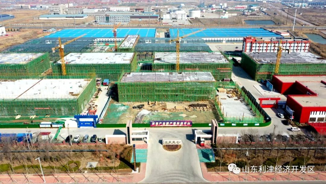 香巷六宝资料大全