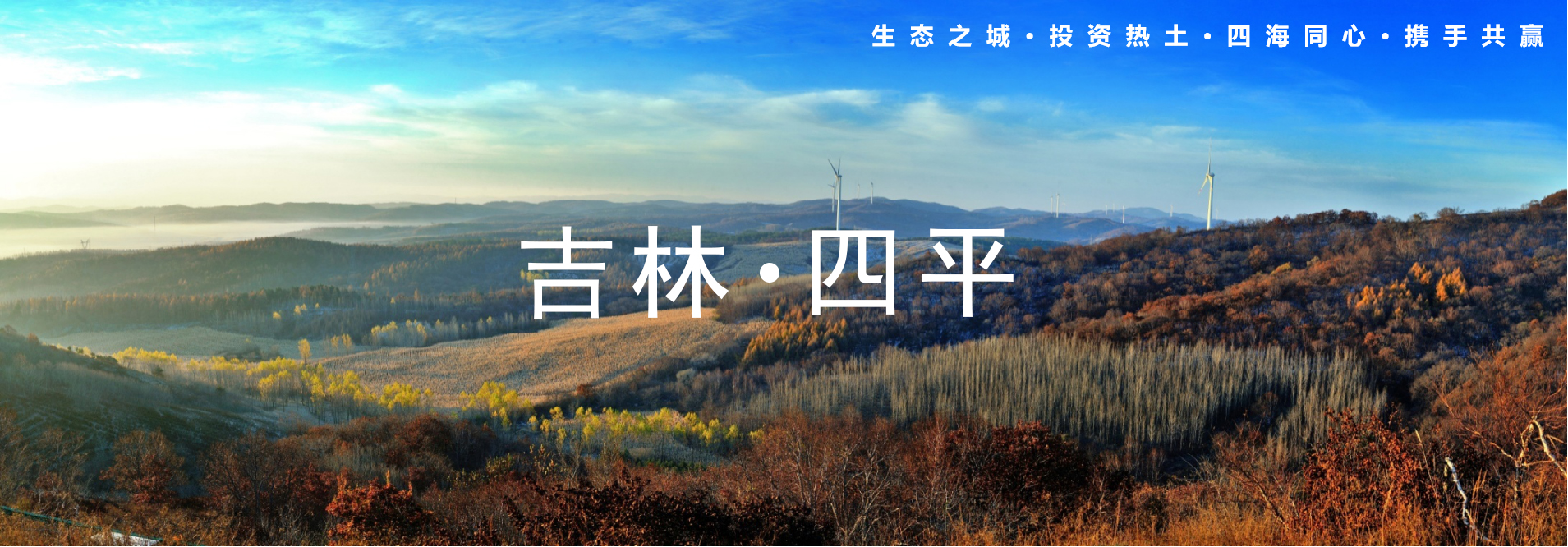 香巷六宝资料大全