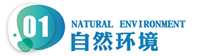 香巷六宝资料大全
