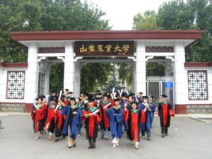 （图）泰安市