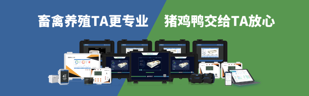 香巷六宝资料大全