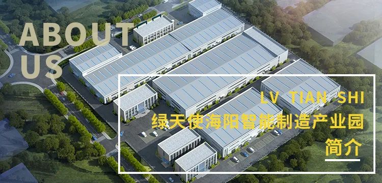 香巷六宝资料大全