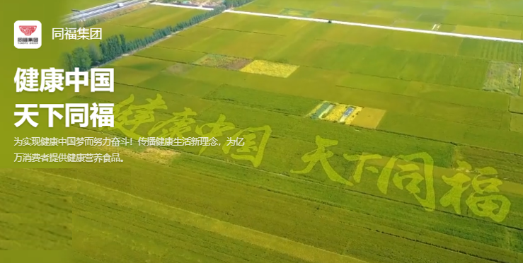 香巷六宝资料大全