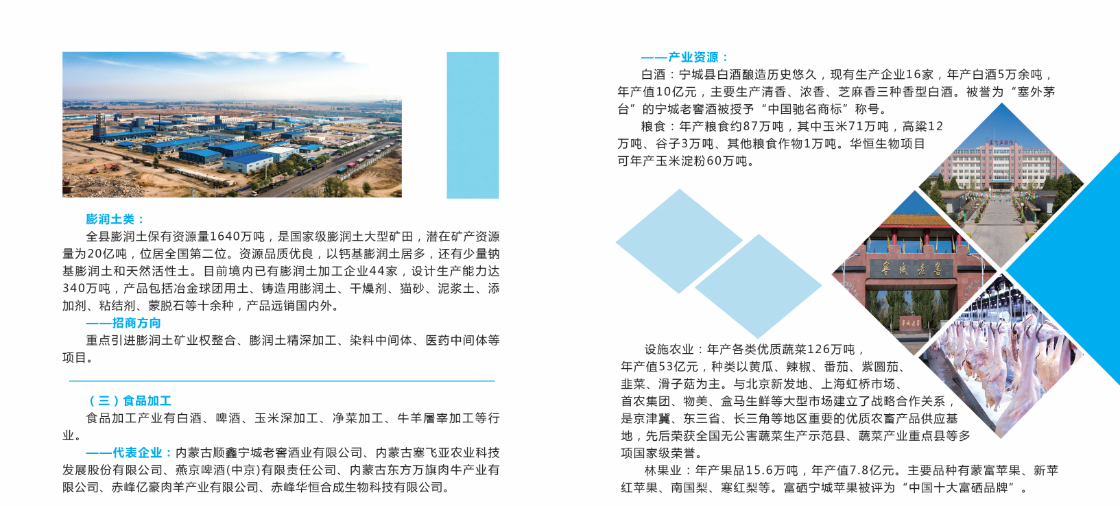 香巷六宝资料大全